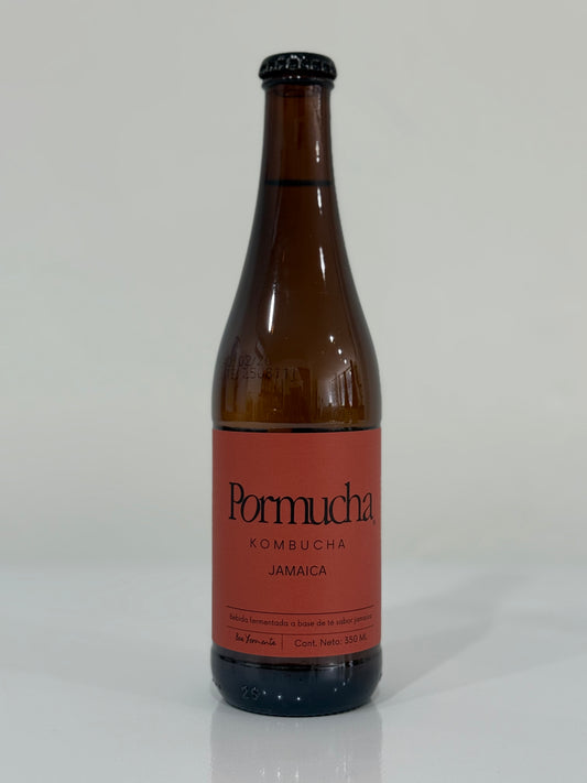 Paquete de 12 kombuchas